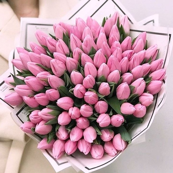 101 розовый тюльпан в белом в Таганроге