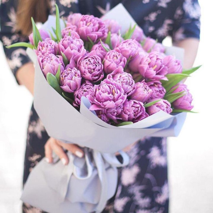 Тюльпаны "Пионс" в Таганроге