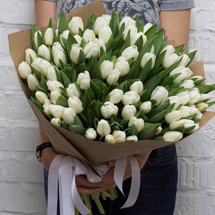 101 тюльпан сноу в Таганроге