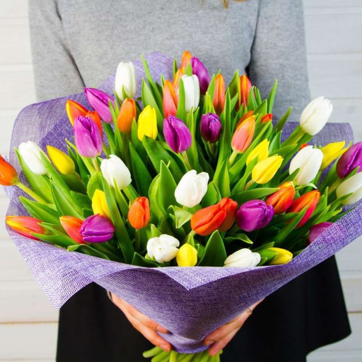 51 тюльпан "Рандом" №2 в Таганроге