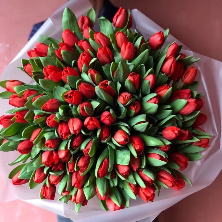 101 красный тюльпан в Таганроге